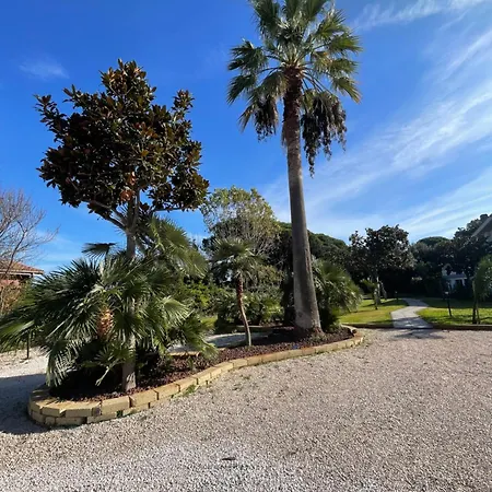Artemide * Lido Di Fondi